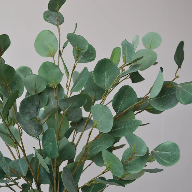 Photography Hotel - Feuilles d'eucalyptus artificielles, plantes rondes, accessoires