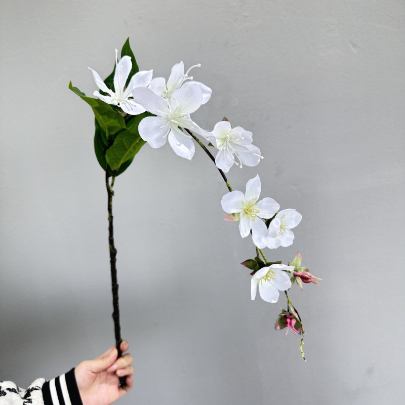Fleur de jasmin suspendue arti - Photography Hotel avis et prix