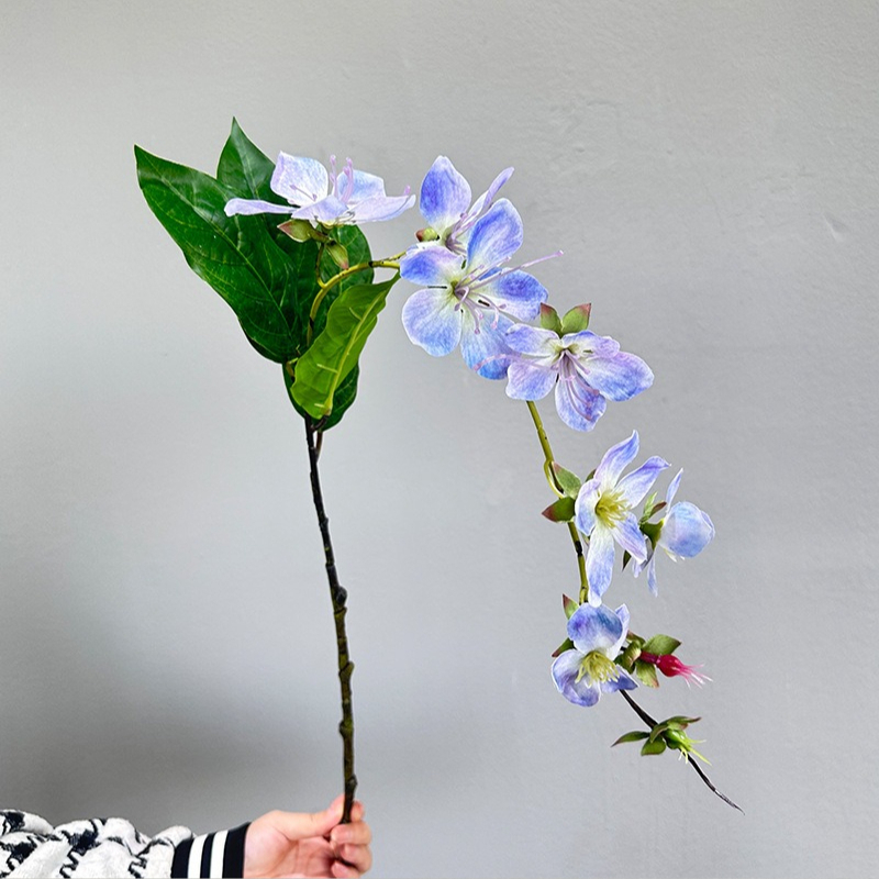 Fleur de jasmin suspendue arti - Photography Hotel avis et prix