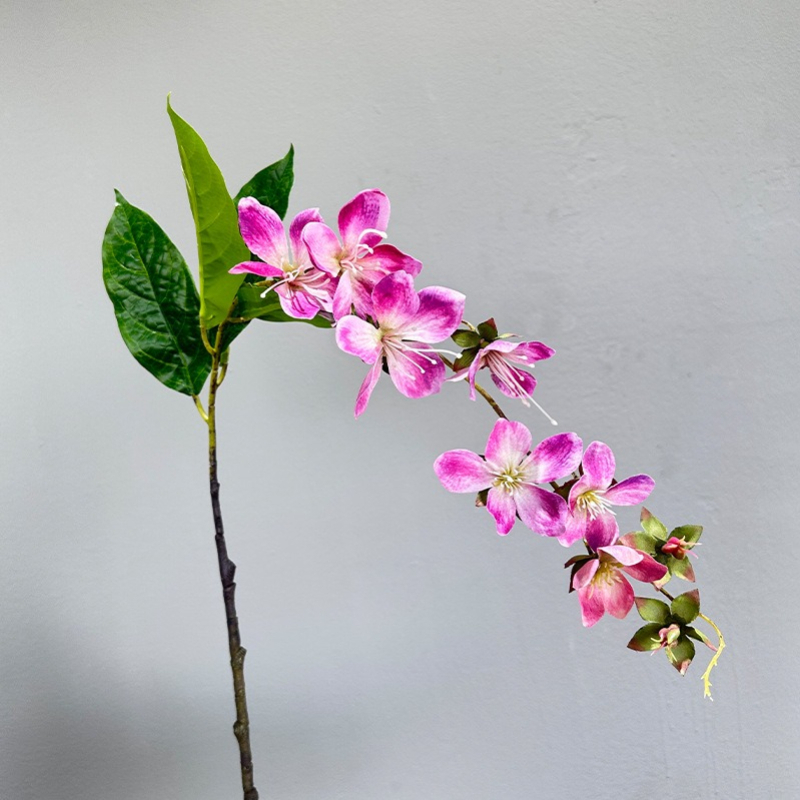 Fleur de jasmin suspendue arti - Photography Hotel avis et prix
