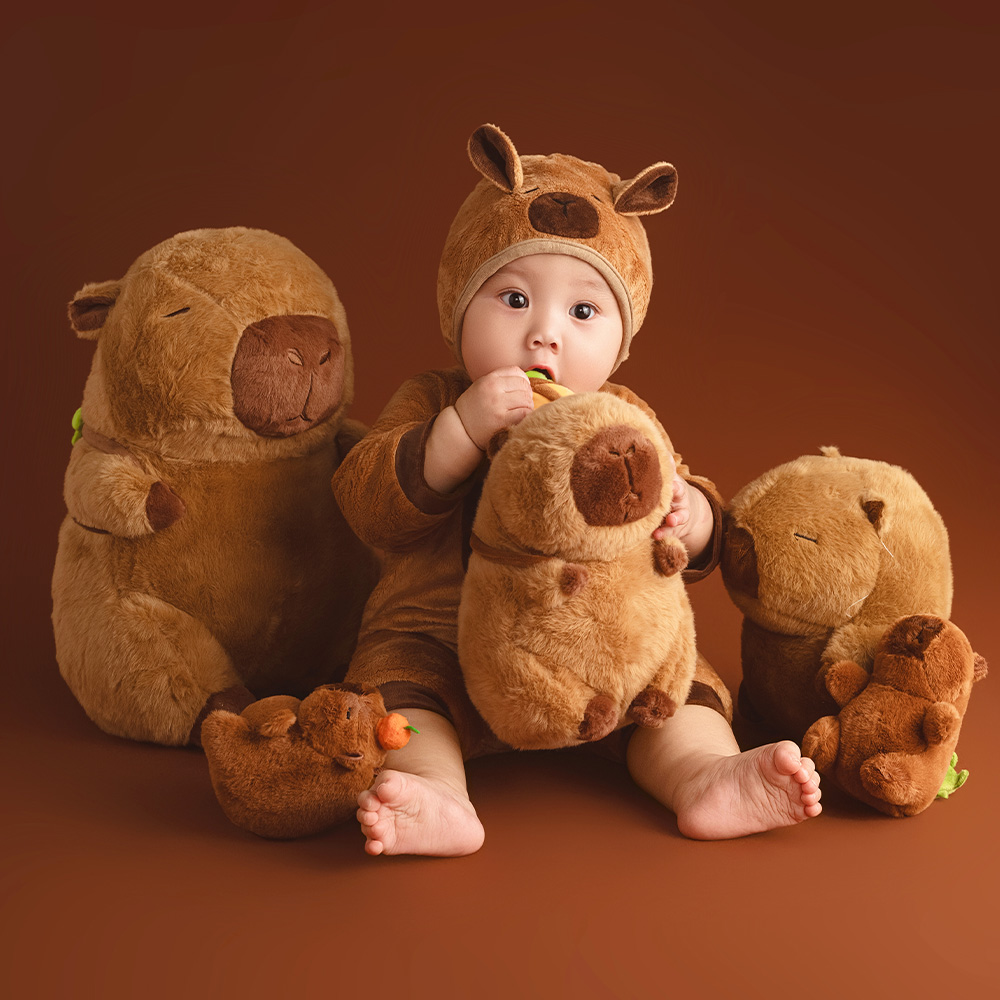 Accessoires de photographie su - Photography Of The Day avis et prix