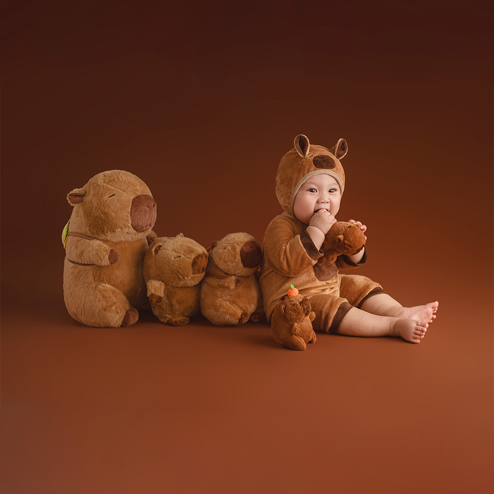 Accessoires de photographie su - Photography Of The Day avis et prix