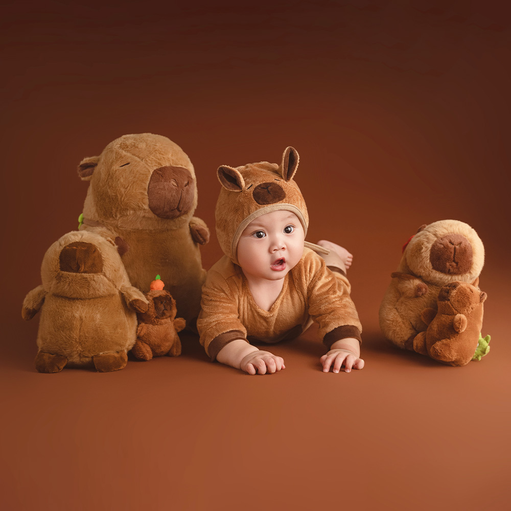 Accessoires de photographie su - Photography Of The Day avis et prix
