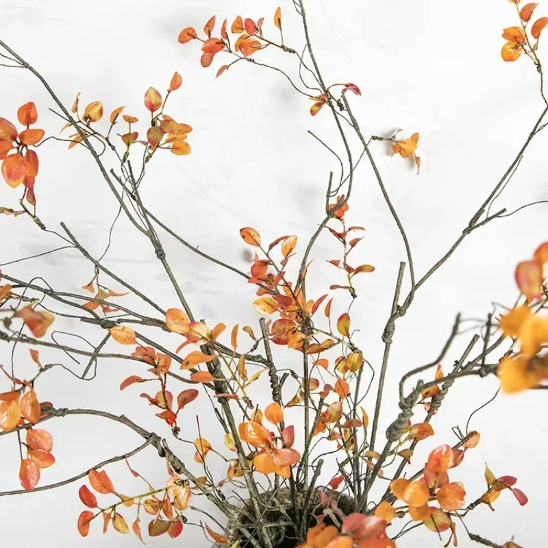 Plante Artificielle en Rotin d - Photography Hotel avis et prix