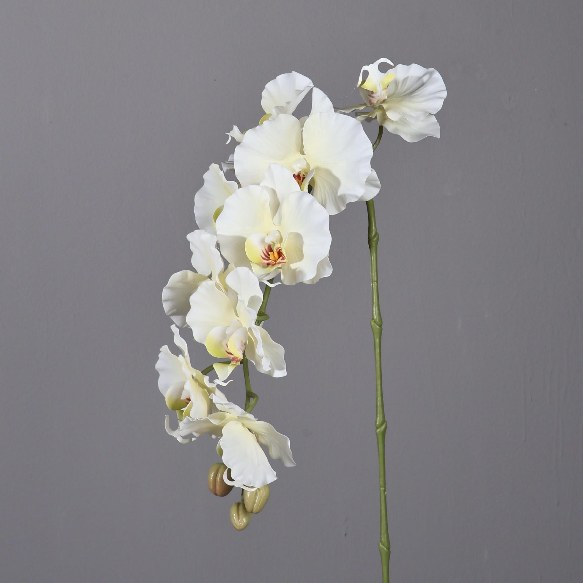 Phalaenopsis artificiel de Sty - Photography Hotel avis et prix