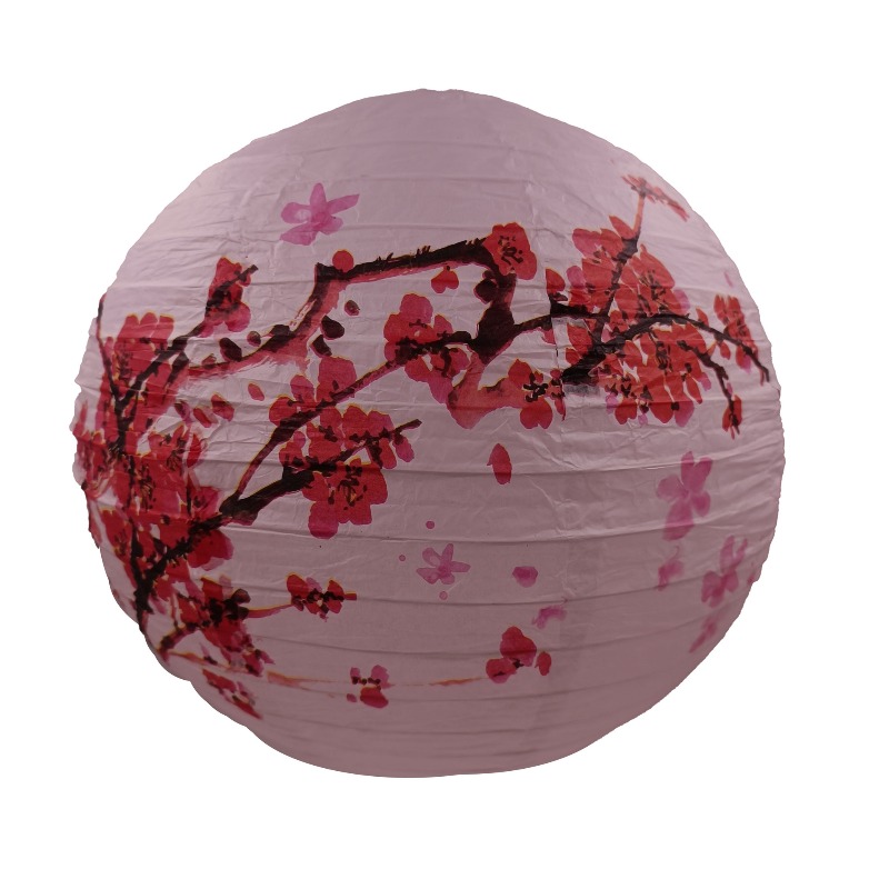 Lanterne chinoise en papier im - Photography Of The Day avis et prix